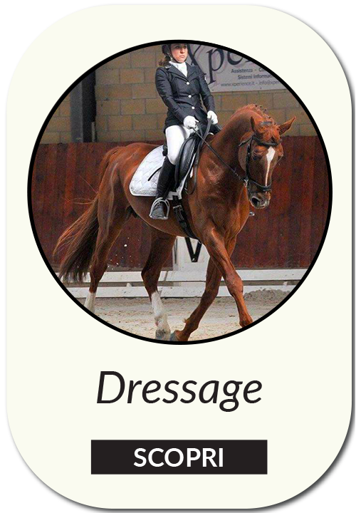 Dressage - Jumping Team Il Boardo