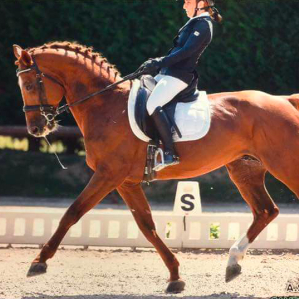 Chiara e Gastone - Jumping Team Il Boardo