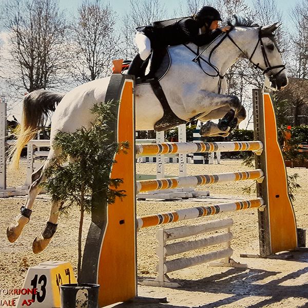 Massimiliano e Whisper - Jumping Team Il Boardo