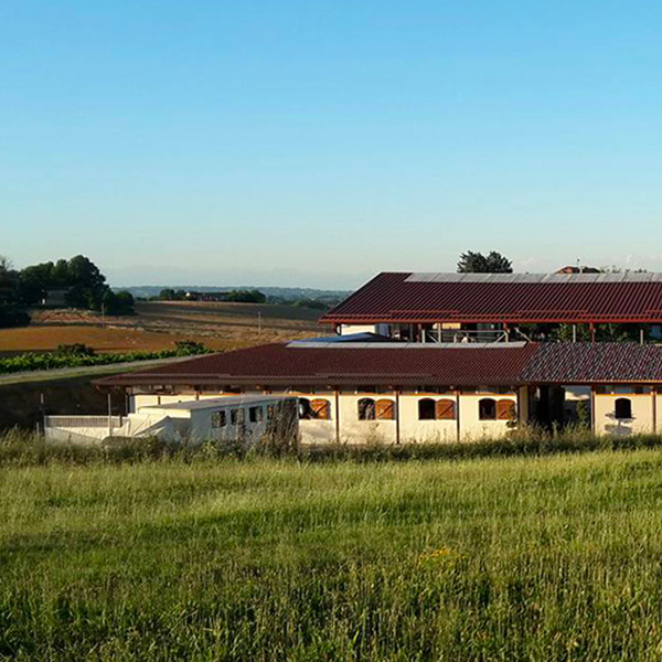 Centro Equestre Il Boardo