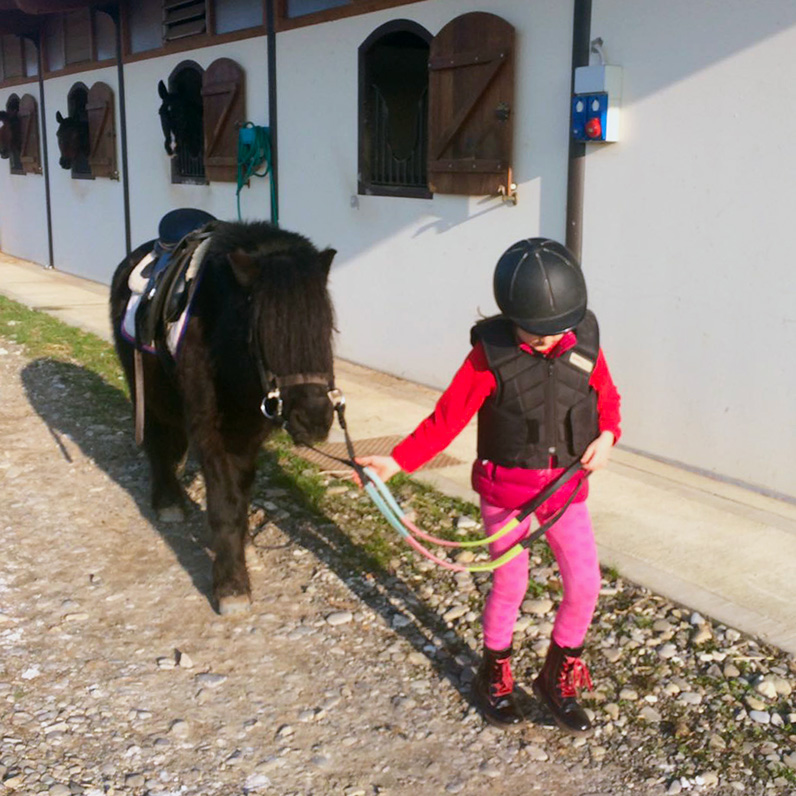 Pony Club Il Boardo