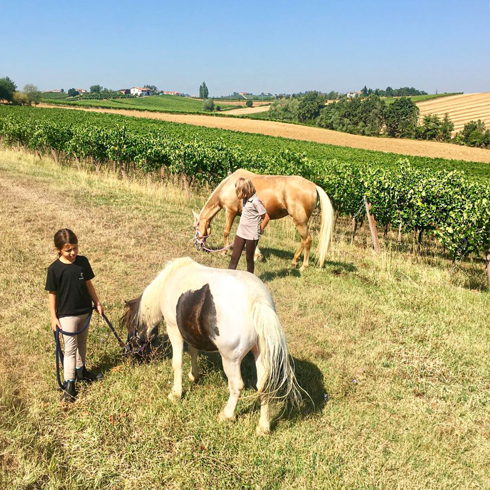 Un po' di relax - Pony Club Il Boardo