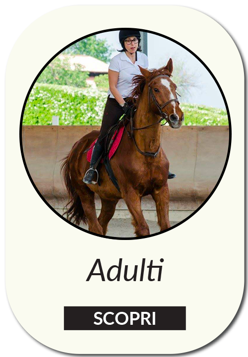 Lezioni equitazione per adulti - Il Boardo