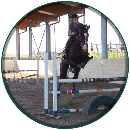 Lezioni equitazione per adulti - Centro Equestre Il Boardo