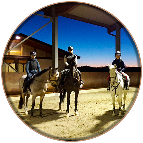 Maneggio coperto - Centro Equestre Il Boardo