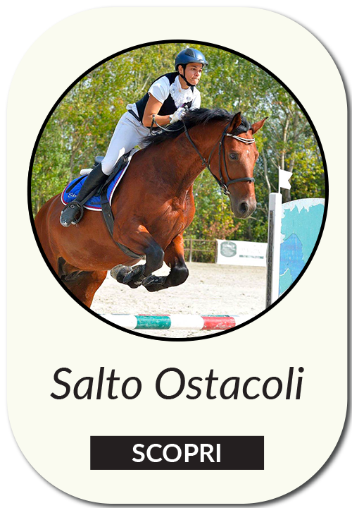Salto Ostacoli - Jumping Team Il Boardo