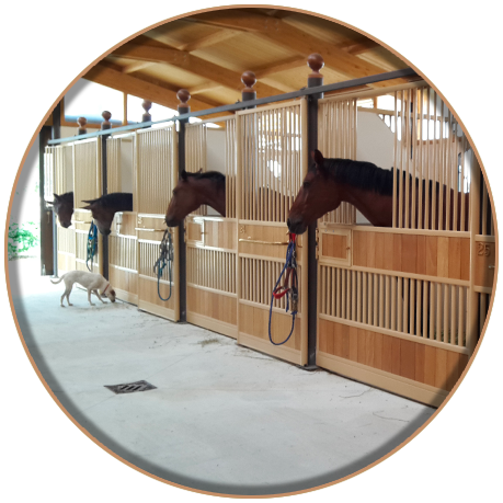 Le scuderie - Centro Equestre Il Boardo